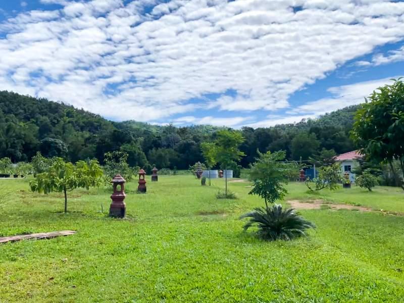 Huge Property 5 Rai 2 Ngan Land with 2-Bedroom House - Huge property 1 house