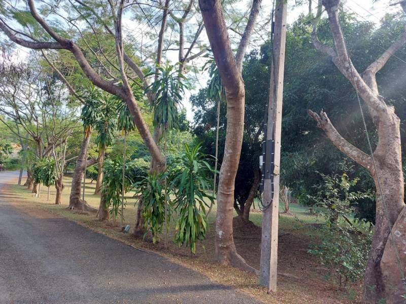 Prime 2 Rai Land Between Chiang Rai City & White Temple! - NONGPUENG LAND FOR SALE