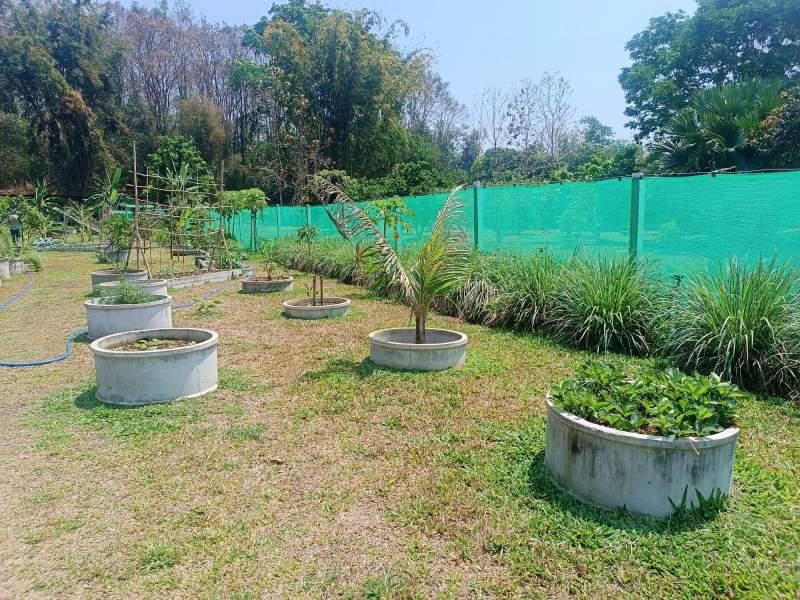 1,600 SqM Sustainable Farm for Sale in Mae Chan, Chiang Rai - Ideal for Ecological Farming - BUSINESS IN MAE CHAN