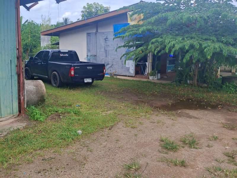 HOUSE FOR SALE - House in Mae Lao